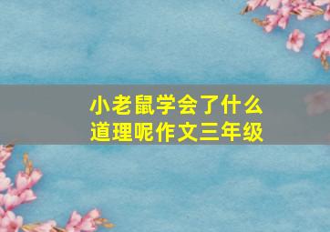 小老鼠学会了什么道理呢作文三年级