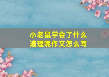 小老鼠学会了什么道理呢作文怎么写