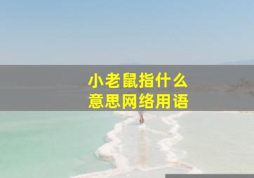 小老鼠指什么意思网络用语