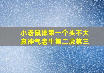 小老鼠排第一个头不大真神气老牛第二虎第三