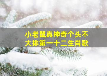 小老鼠真神奇个头不大排第一十二生肖歌