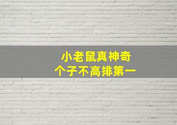 小老鼠真神奇个子不高排第一