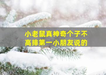 小老鼠真神奇个子不高排第一小朋友说的