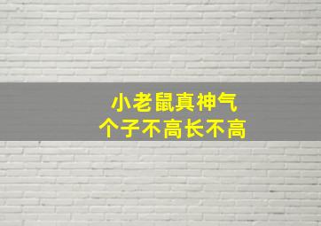 小老鼠真神气个子不高长不高