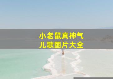 小老鼠真神气儿歌图片大全