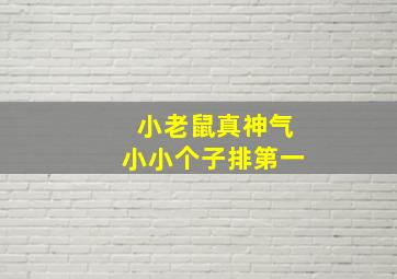 小老鼠真神气小小个子排第一