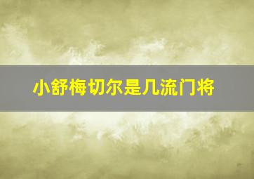 小舒梅切尔是几流门将