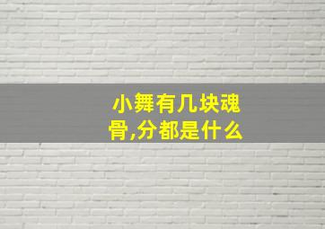 小舞有几块魂骨,分都是什么