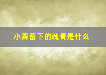 小舞留下的魂骨是什么