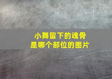 小舞留下的魂骨是哪个部位的图片