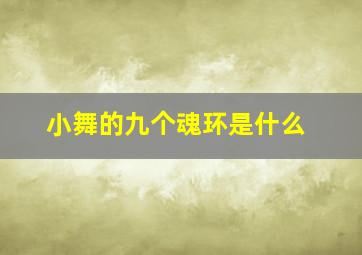 小舞的九个魂环是什么