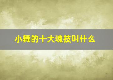 小舞的十大魂技叫什么