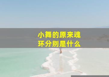 小舞的原来魂环分别是什么