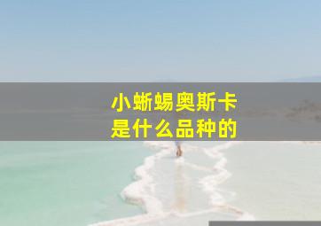 小蜥蜴奥斯卡是什么品种的