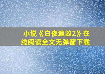 小说《白夜追凶2》在线阅读全文无弹窗下载