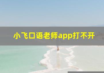 小飞口语老师app打不开