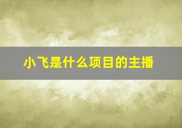 小飞是什么项目的主播