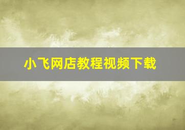 小飞网店教程视频下载