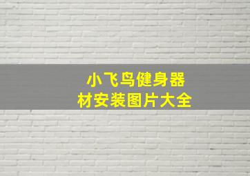 小飞鸟健身器材安装图片大全