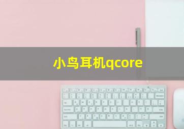 小鸟耳机qcore