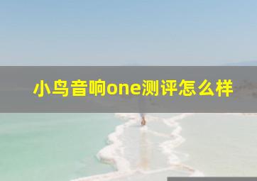 小鸟音响one测评怎么样