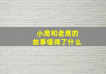 小鹰和老鹰的故事懂得了什么