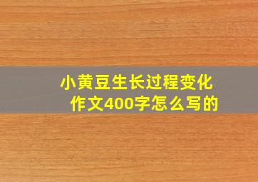 小黄豆生长过程变化作文400字怎么写的