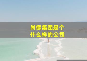 尚德集团是个什么样的公司