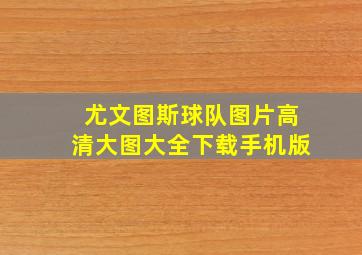 尤文图斯球队图片高清大图大全下载手机版