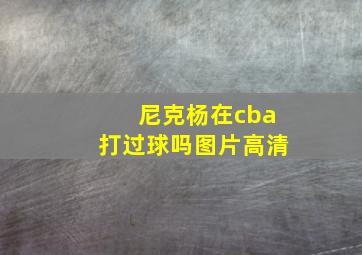 尼克杨在cba打过球吗图片高清