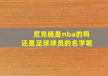 尼克杨是nba的吗还是足球球员的名字呢