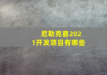 尼勒克县2021开发项目有哪些