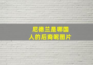 尼德兰是哪国人的后裔呢图片