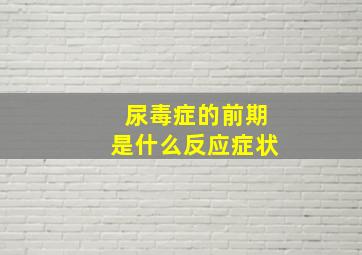 尿毒症的前期是什么反应症状