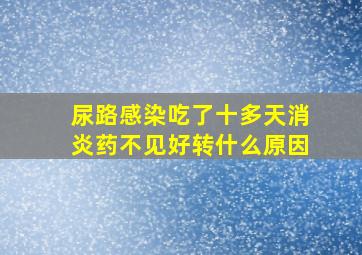 尿路感染吃了十多天消炎药不见好转什么原因