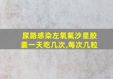 尿路感染左氧氟沙星胶囊一天吃几次,每次几粒