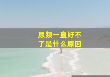 尿频一直好不了是什么原因