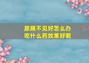 尿频不见好怎么办吃什么药效果好呢