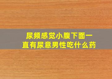 尿频感觉小腹下面一直有尿意男性吃什么药