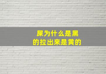 屎为什么是黑的拉出来是黄的