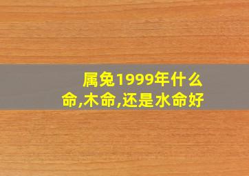 属兔1999年什么命,木命,还是水命好