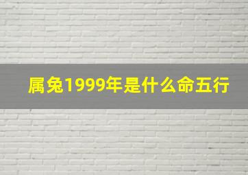 属兔1999年是什么命五行