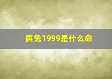 属兔1999是什么命