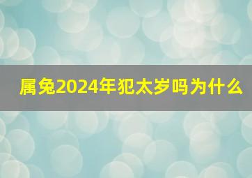 属兔2024年犯太岁吗为什么