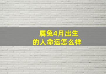 属兔4月出生的人命运怎么样