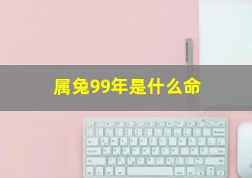 属兔99年是什么命