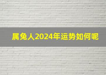 属兔人2024年运势如何呢