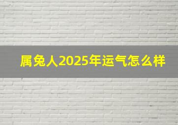 属兔人2025年运气怎么样