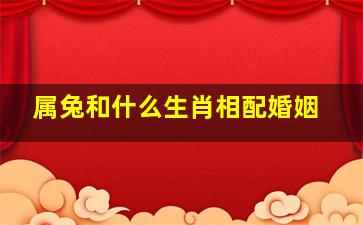 属兔和什么生肖相配婚姻