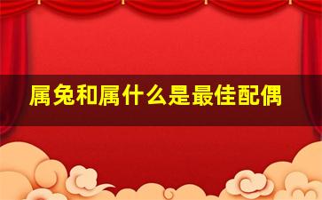 属兔和属什么是最佳配偶